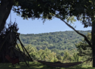 Floresta Retreats